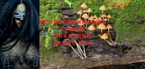 стафф Семикаракорск