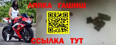 стафф Вязьма