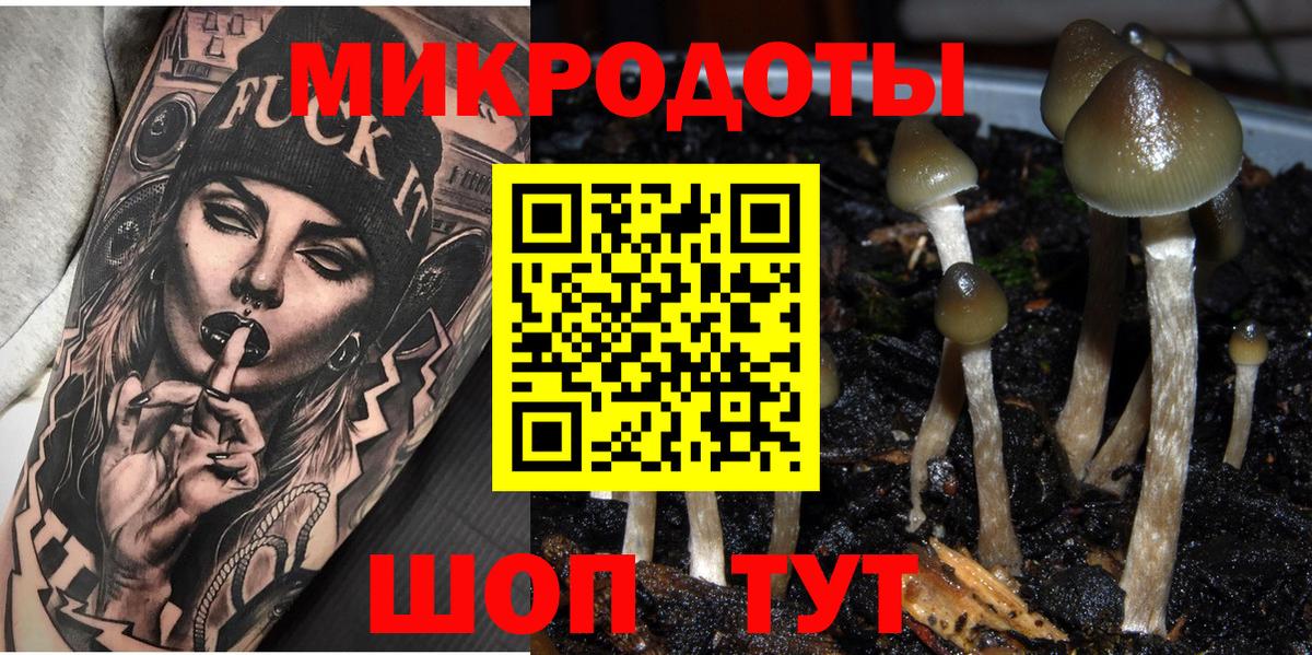 Галлюциногенные грибы Cubensis  Вход с VPN  Истра 