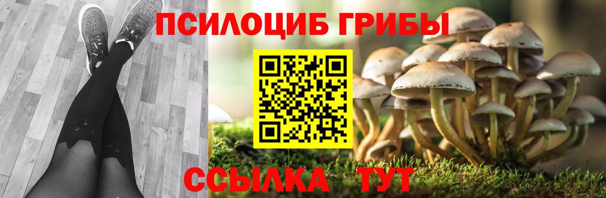 Галлюциногенные грибы Psilocybe Истра